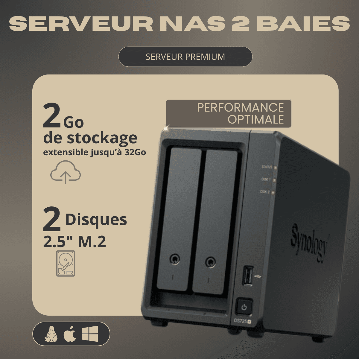 Boîtier NAS pour stockage et sauvegarde des données